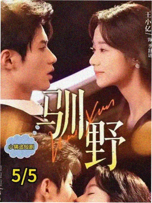 青春成长剧标本卡大图，天台逆光剪影